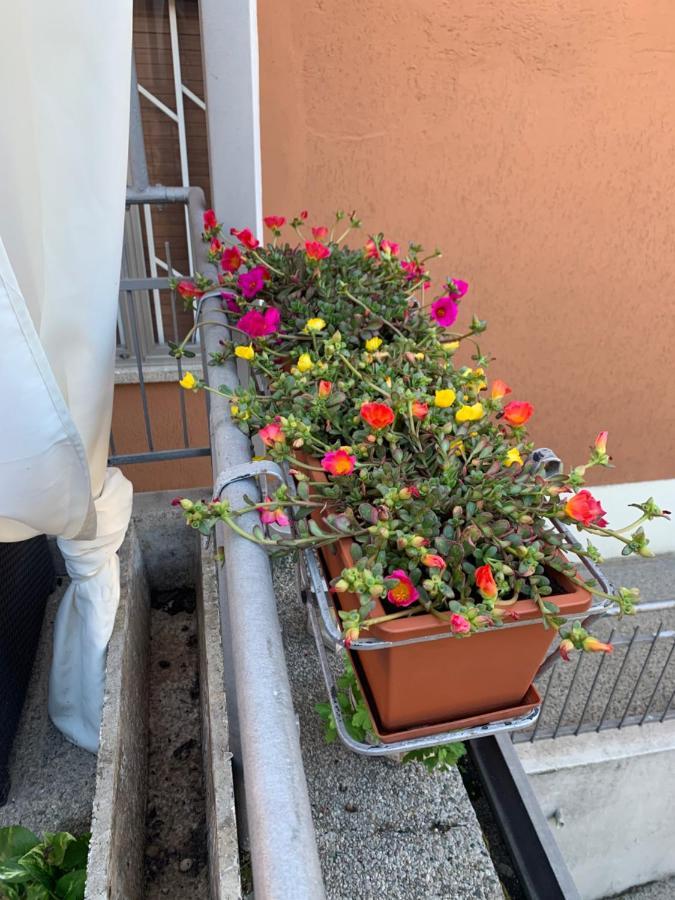 New Verona Business And Fun G B Rossi Friendly エクステリア 写真