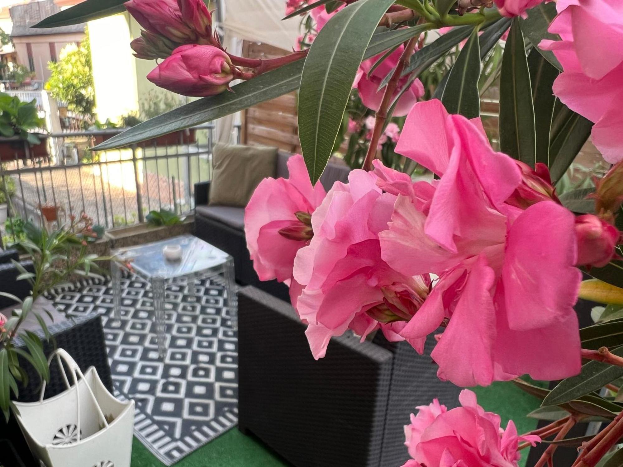 New Verona Business And Fun G B Rossi Friendly エクステリア 写真